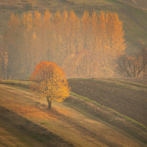BOGUSŁAW PUPIEC Solistka