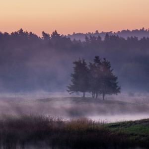 MIROSŁAW PRUCHNICKI Cisza przed świtem