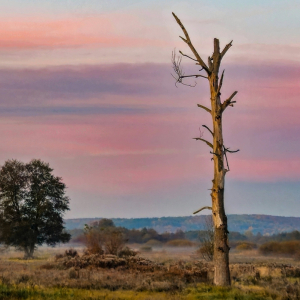 MAGDALENA GONTARZ Świadek czasu w Szczebrzeszynie