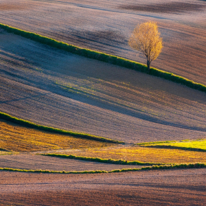 ANDRZEJ BOROWIEC Samotnie