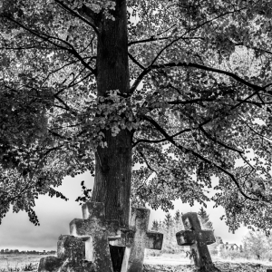 PATRYCJA WARDAK Strażnik pamięci