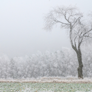 EWA JKACPEREK Na miedzy